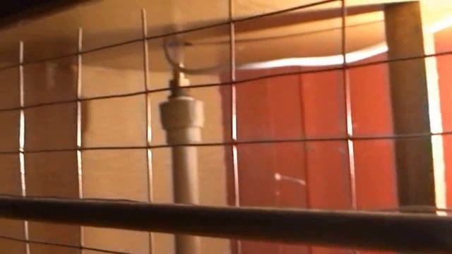 Бройлеры РОСС 308 7 дней. смотреть онлайн