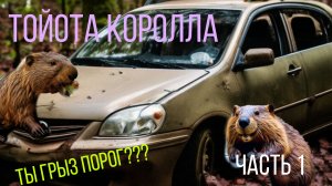Toyota Corolla 120кузов. Восстановление. Часть 1