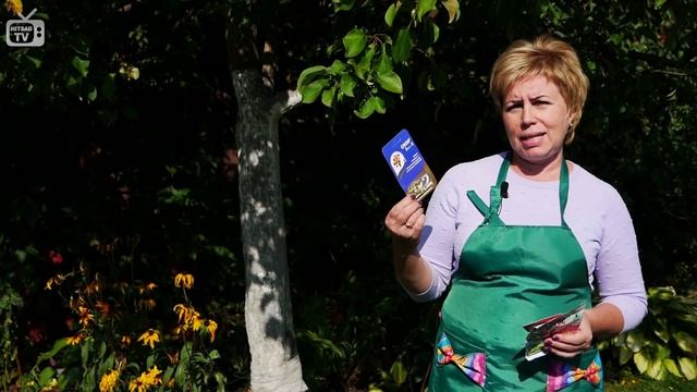 Обработка сада осенью от вредителей и болезней ✅ Скор ✅ Карбофос ✅ Зубр смотреть онлайн