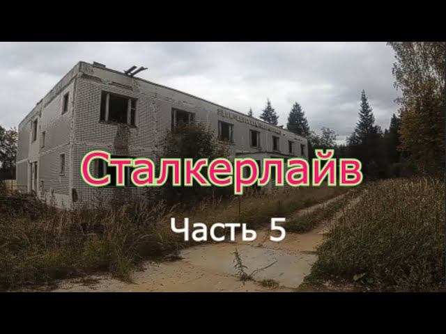 Сталкерлайв 5. Один день из сталкерской жизни