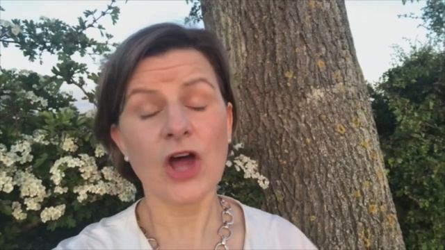 PBS International Lockdown Plantlife - European Ash (Fraxinus excelsior) смотреть онлайн