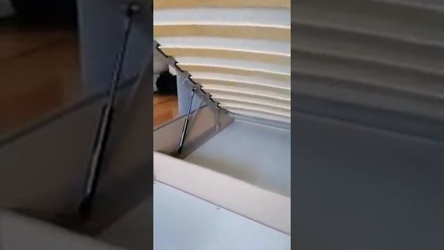 VID 20210507 WA0007=БордО
