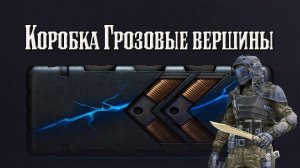 Warface Коробка ГРОЗОВЫЕ  вершины