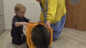 Любимый кот Грос