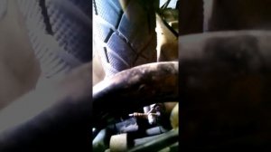 Замена бендикса стартера двигателя 150сс часть 2