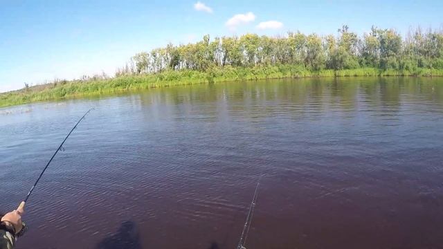 Каргасок Рыбалка смотреть онлайн