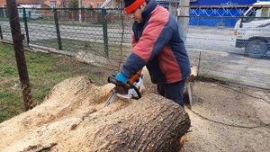 STIHL MS 661 распиловка каркаса южного на слэбы