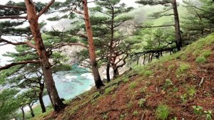 Бухта Теляковского. Приморский край. Хасанский район.