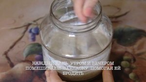 Ржаная закваска для хлеба без дрожжей за 4 дня