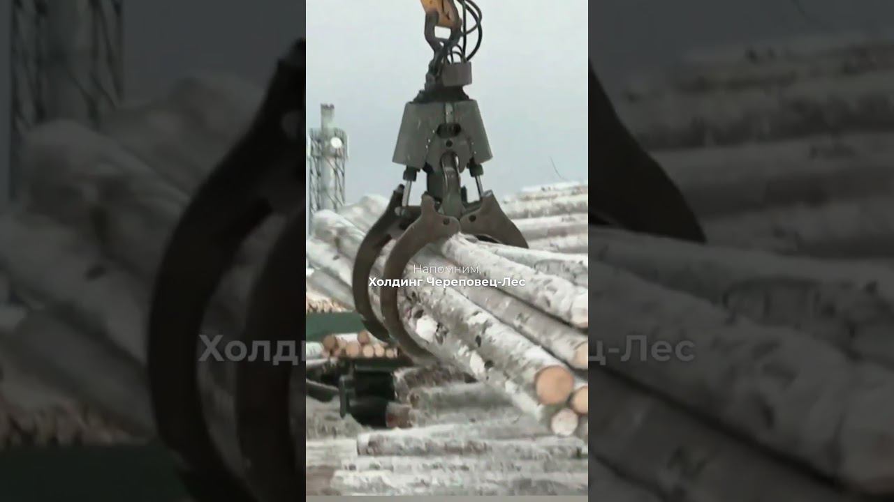 КРУПНЫЙ ЛЕСОПЕРАРАБАТЫВАЮЩИЙ КОМПЛЕКС смотреть онлайн
