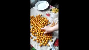 Заморозка алычи #freezing #cherryplum #алыча