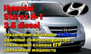 Hyundai Starex H-1 2.5 diesel: отключение мочевины (AdBlue), удаление сажевого фильтра (DPF)