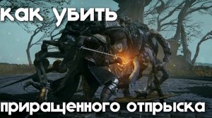 Как убить ПРИРАЩЕННОГО ОТПРЫСКА в ELDEN RING