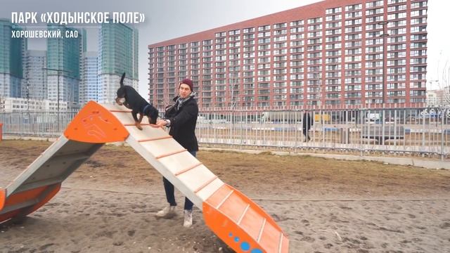 Это наш город. Площадки для выгула собак в Москве