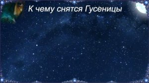 К чему снятся Гусеницы (Сонник)