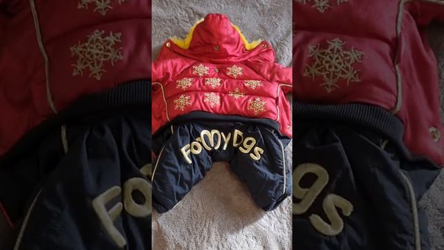 Кому обещала показать комбез фомайдогс. смотреть онлайн