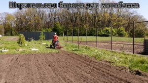 Штригельная борона для мотоблока