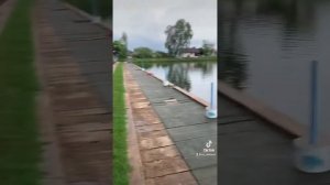 Озерная рыбалка в Паттайе - Ловлю ГИГАНТОВ на удочку - Pattaiya Lake fishing