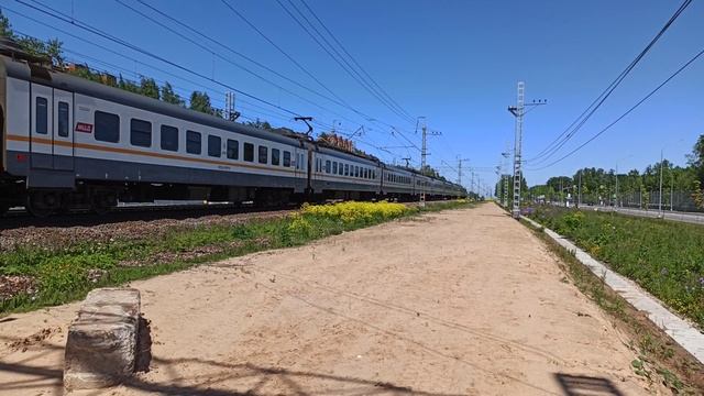 Аэроэкспресс из международного аэропорта Шереметьево медленно проезжает платформу Новодачная