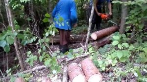 бензопила husqvarna 353