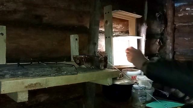 РАБОТЫ В ЗЕМЛЯНКЕ | ЕДА НА КОСТРЕ | ПОГОДА БУШУЕТ | бушкрафт смотреть онлайн