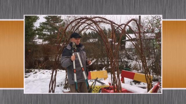 ПАВИВА Секатор садовый как выбрать? для обрезки живых конструкций из ивы, изгородь,беседка,деревья