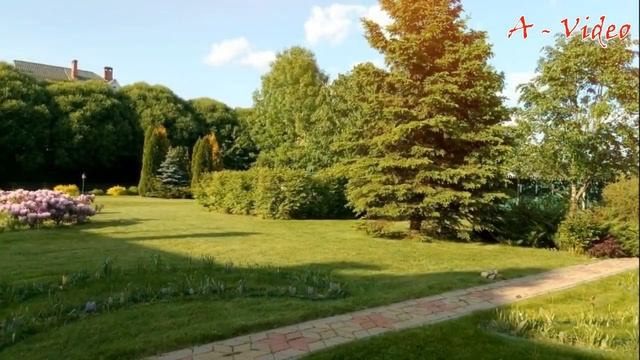 Лучшие идеи для декора и украшения сада / The best garden decor and decoration ideas смотреть онлайн