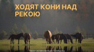 НЕ ПОПСА!!! ХОДЯТ КОНИ НАД РЕКОЮ I ВИКТОР СОРОКИН I КИРИЛЛ СУСЛОВ I СЕРГЕЙ ВОРОБЬЁВ I АРТЁМ КОЗЛОВ