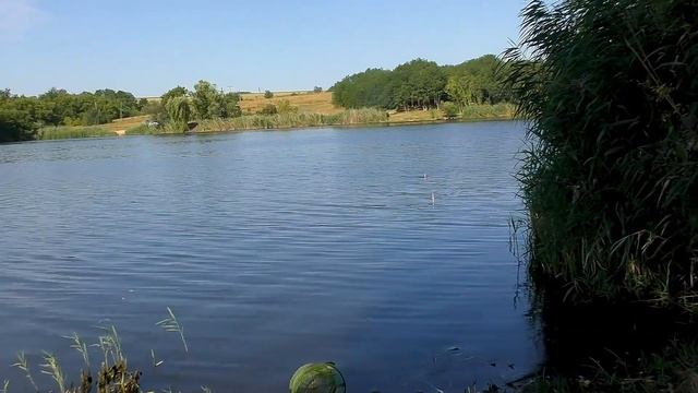 Вот это Лобстер!!! И снова Зелёное. смотреть онлайн