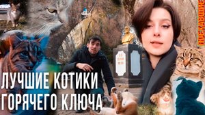 Короткий отдых в Горячем Ключе. Проект «Поехавшие»