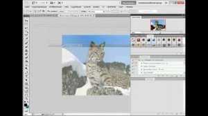 Урок 1  Обзор интерфейса Adobe Photoshop CS5