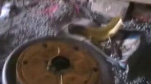 ремонт сцепления мотоблока зубр мини трактора