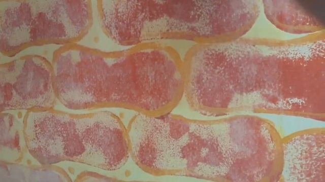Обновила кухонный фартук. Бюджетный вариант. Своими руками и вот,что получилось ?