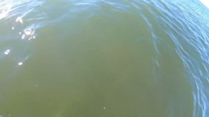 НАШЁЛ МЕТАЛЛОИСКАТЕЛЕМ В МОРЕ ЗОЛОТО! Я покажу как искать скубом под водой-делайте так и Вы найдете