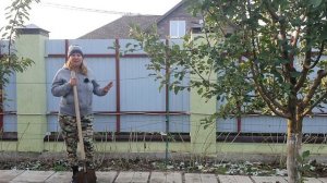 Малина осенью: обрезка, уход, подкормка и защита