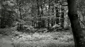 Песня «Смуглянка»