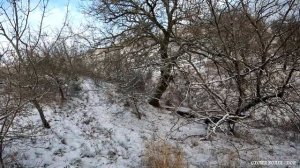 Охота на зайца по свежему снегу. Тропление зайца