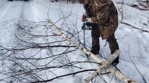 1 день(5 минут) из жизни лесоруба вместе  с Интерскол ПЦА-16/36В