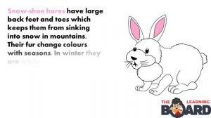 Mountain Animals | Learn about Habitats | Animal homes | Mountain Habitat