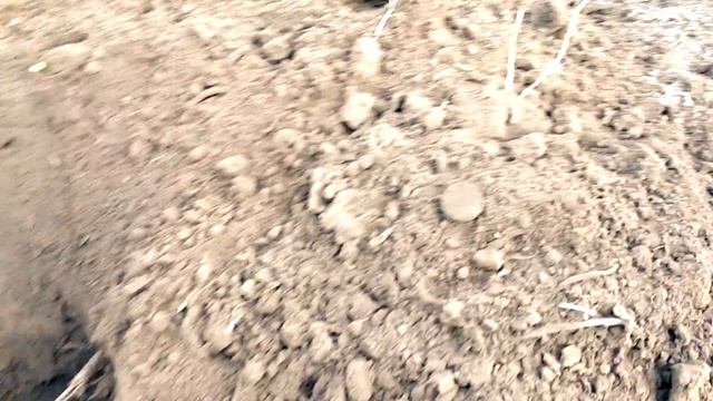 Отличный КОП, много ИНТЕРЕСНЫХ НАХОДОК на старом доме. Коп 2020 с Квазар АРМ смотреть онлайн