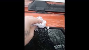 Бьет прямо в цель: как убрать птичий помет, не повредив краску машины