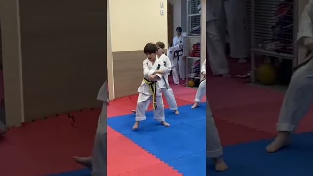 Готовимся к аттестации на зелёный пояс #shots #taekwondo #lifestyle #training