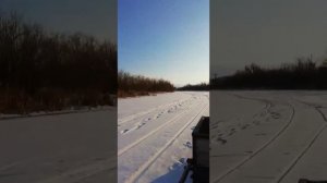 Самодельная Мото сабака покатушки