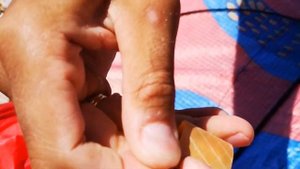 Как собрать воздушный змей Дракон?