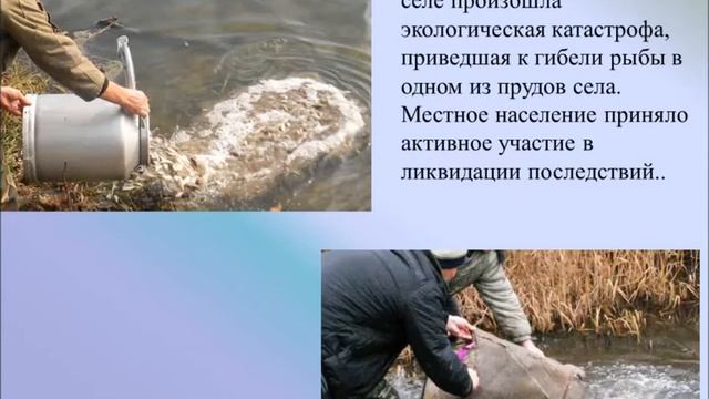 Романадзе Екатерина, экологический кодекс