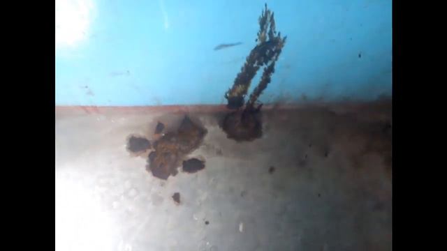 Насрали в подъезде смотреть онлайн