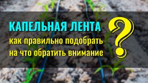Как правильно подобрать капельную ленту, рассчитать максимальную длину ряда и ...