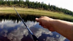 Семейный выезд на рыбалку.2021