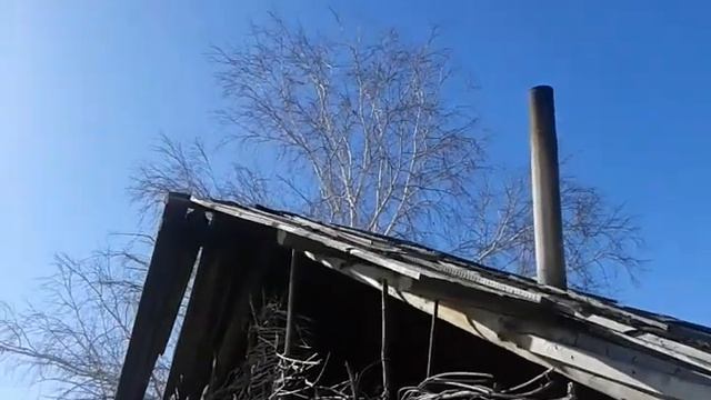 Птичка-синичка смотреть онлайн