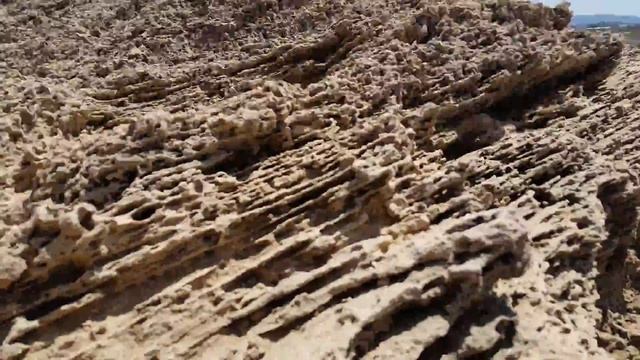 Спасение черепахи часть 1 смотреть онлайн